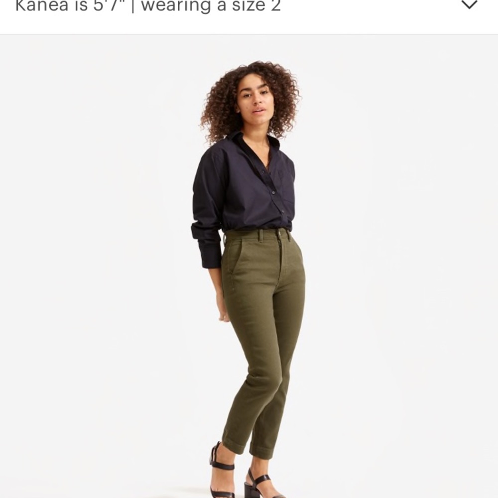 Everlane Slim Leg Crop Pant